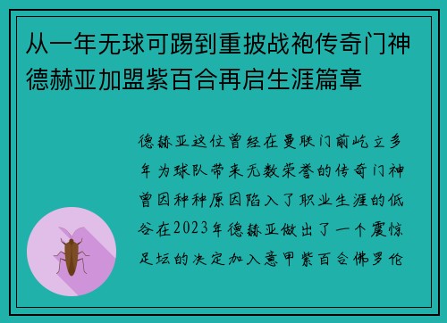 从一年无球可踢到重披战袍传奇门神德赫亚加盟紫百合再启生涯篇章