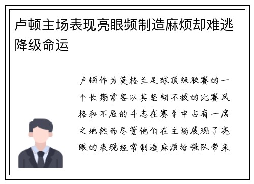 卢顿主场表现亮眼频制造麻烦却难逃降级命运
