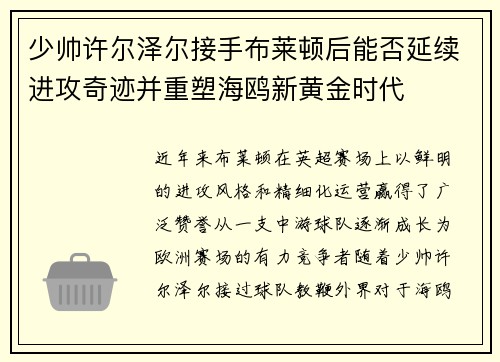 少帅许尔泽尔接手布莱顿后能否延续进攻奇迹并重塑海鸥新黄金时代 少帅许尔泽尔接手布莱顿后能否延续进攻奇迹并重塑海鸥新黄金时代